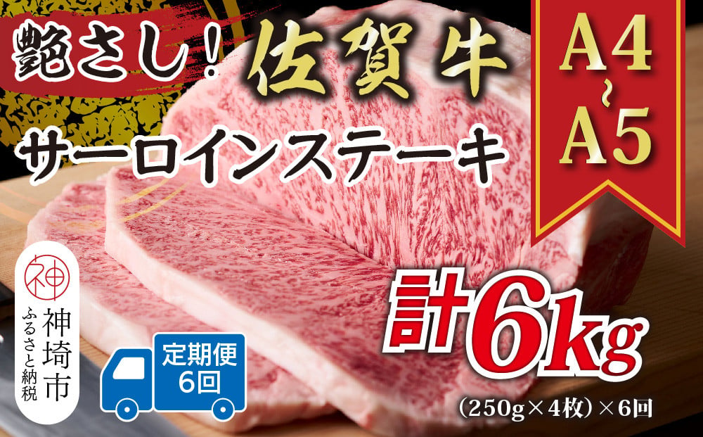 
            【6か月定期便】艶さし！【A4～A5】佐賀牛サーロインステーキセット 1kg(250g×4枚)×6回【肉 牛肉 ブランド牛 黒毛和牛 ステーキ肉 ふるさと納税】(H112197)
          