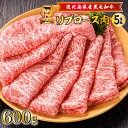 【ふるさと納税】鹿児島県産黒毛和牛リブロース肉（5等級） ふるさと納税 送料無料 鹿児島市 九州 贈り物 プレゼント ギフト お土産 特産品 地域の品 お礼の品 グルメ 肉 お肉 キャンプ グランピング 全国和牛能力共進会 日本一 リブロース肉 霜降り