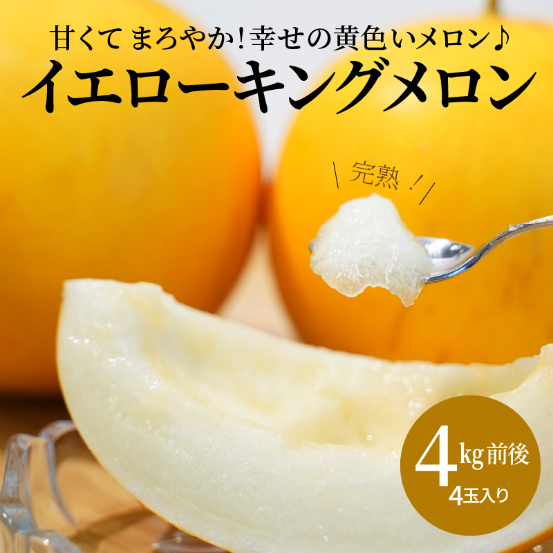 〈予約受付〉【2027年発送】 完熟！イエローキングメロン 4kg前後（4玉） 追熟不要 甘い さっぱり スイーツ 果物 さわやか かわいい H141-023