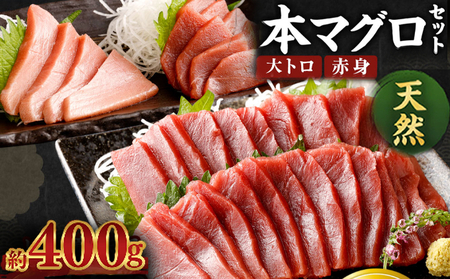 厳選天然本マグロ 大トロ 赤身 食べ比べセット 約400g  ( 本マグロ大とろ 本マグロ赤身 ） マグロサクブロック 刺身 まぐろ丼 海鮮丼 冷凍まぐろ ge011