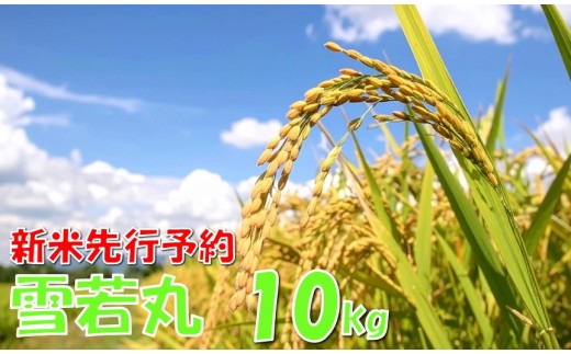【令和８年産米 先行予約】雪若丸10kg　高橋