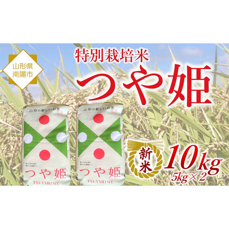 【ふるさと納税】 【令和7年産 新米 先行予約】 特別栽培米 つや姫 10kg 《令和7年10月中旬～発送》 『松田観光果樹園』 山形南陽産 米 白米 ご飯 農家直送 山形県 南陽市 [2289-R7]