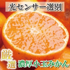 ＜2024年11月より発送＞厳選 小玉な有田みかん3.5kg+105g(傷み補償分)【光センサー】