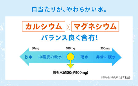 【全3回定期便】飲料 水 ミネラルウォーター 巌聖水6500 500ml×24本 広島県福山市/小林商事 ミネラルウォーター ペットボトル 500ml 24本 保存用 備蓄 防災 [BAEA016]