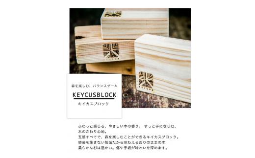 熊本県 御船町 キイカスブロック 30個 木のおもちゃ 森のバランスゲーム 《30日以内に出荷予定(土日祝除く)》 KEYCUSプロジェクト事務局 國武林業_イメージ3