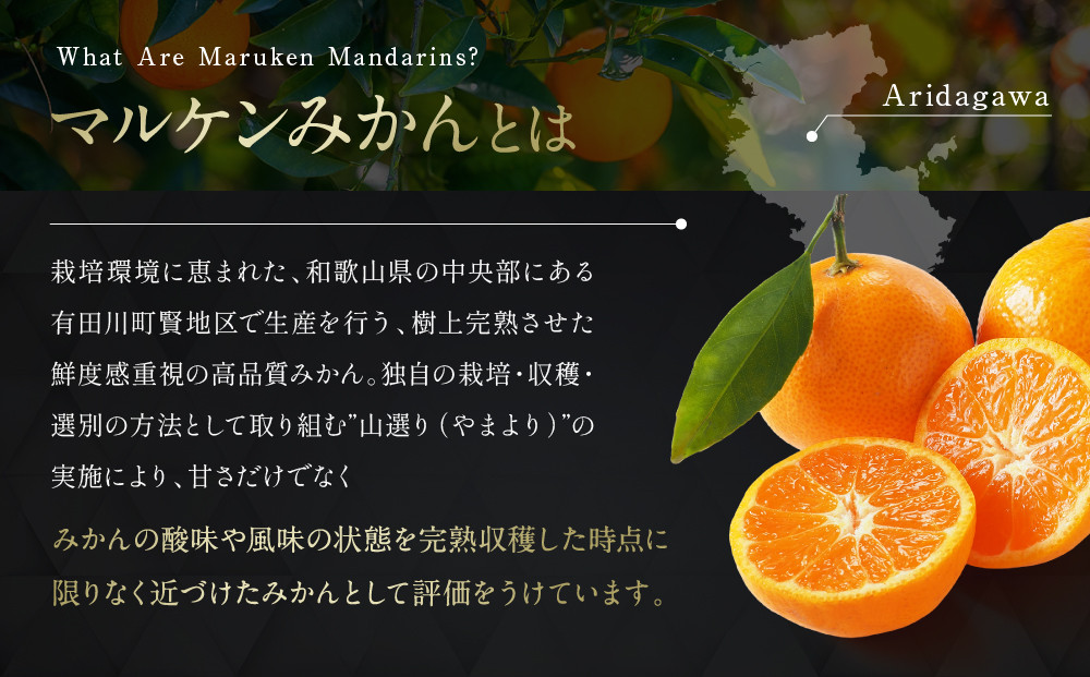 【賢宝】マルケンみかん果汁100％ジュース （20本入り／大容量段ボール箱） もぎたてみかん味のストレートジュース