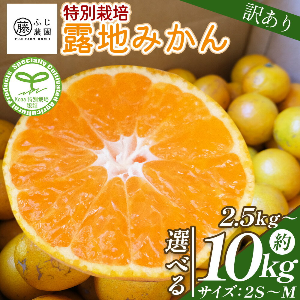 【ふるさと納税】【選べる内容量】ふじ農園の露地みかん 訳あり品 (選べる内容量：2.5kg/5kg/10kg)(2S～M) - 国産 蜜柑 ミカン 柑橘 果物 フルーツ 訳アリ ご家庭用 家庭用 自宅用 ふじ農園 高知県 香南市 【常温】