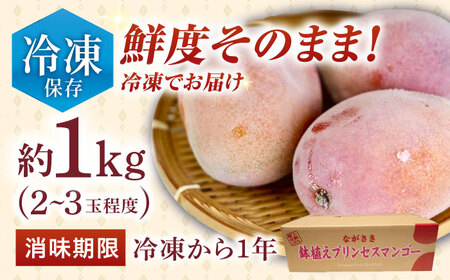 【冷凍】プリンセスマンゴー 約1kg[QAT013] マンゴー