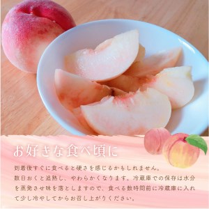 【2024年7月より順次発送】美味しい山梨の桃　2kg・6～8玉【022-003】