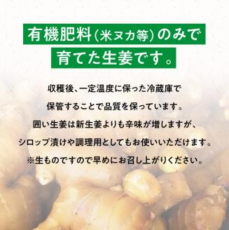 農家直送！ 宮崎県産根生姜（囲い生姜） 4ｋｇ【生姜 しょうが 囲い生姜 シロップ漬け 国産 宮崎県産 九州産 農家直送 送料無料】