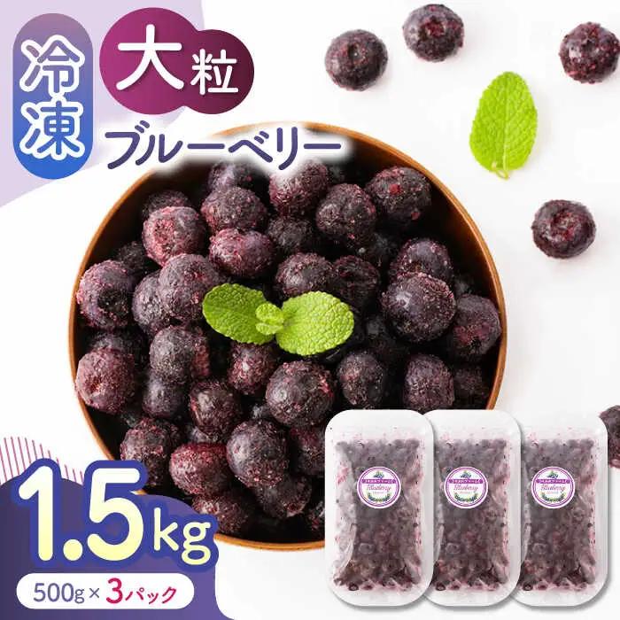 大粒 冷凍ブルーベリー 約1500g（約500g×3pc） 【すみれファーム】果物 フルーツ くだもの 大粒 小分け 熊本県産ブルーベリー  [ZEP008]