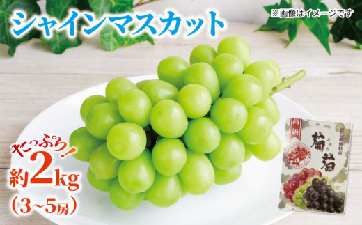 【 先行予約 】 シャインマスカット 約 2kg 3～5房 《2026年7月下旬～順次発送》 ぶどう 葡萄 フルーツ 果物 冷蔵 贈答用 化粧箱 内祝い 内祝 お祝い 御祝い 御祝 お礼 御礼 プレゼント ギフト 贈り物 徳島県 阿波市