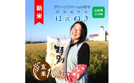 【令和8年産・玄米】グリーンファーム小野寺の特別栽培米はえぬき10kg　※10月中旬頃から順次配送予定