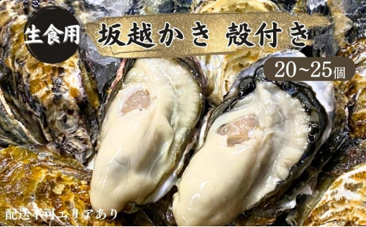 
牡蠣 生食用 坂越かき 殻付き 20～25個[ 生牡蠣 真牡蠣 かき カキ 冬牡蠣 ]
