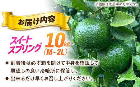 【樹上完熟】スイートスプリング（優品）10kg箱 M-2L ー2026年1月末より発送ー 長与町/つじ梨園[ECO003]  柑橘 スイートスプリング すいーとすぷりんぐ 完熟 10㎏ 大容量 みかん