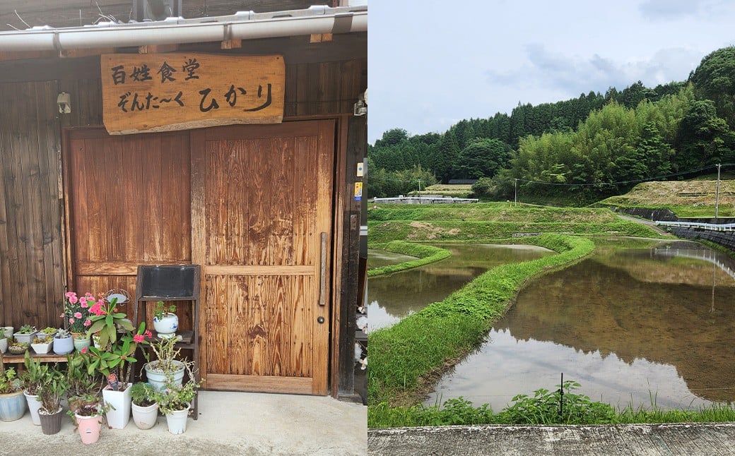 名店の味！ チキン南蛮2.5人前 ぞんた～くひかり