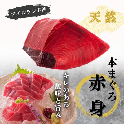 ふるさと納税 三浦市 【至極の味わい】天然本まぐろ 1kg(大トロ200g,中トロ400g, 赤身400g) |  | 03