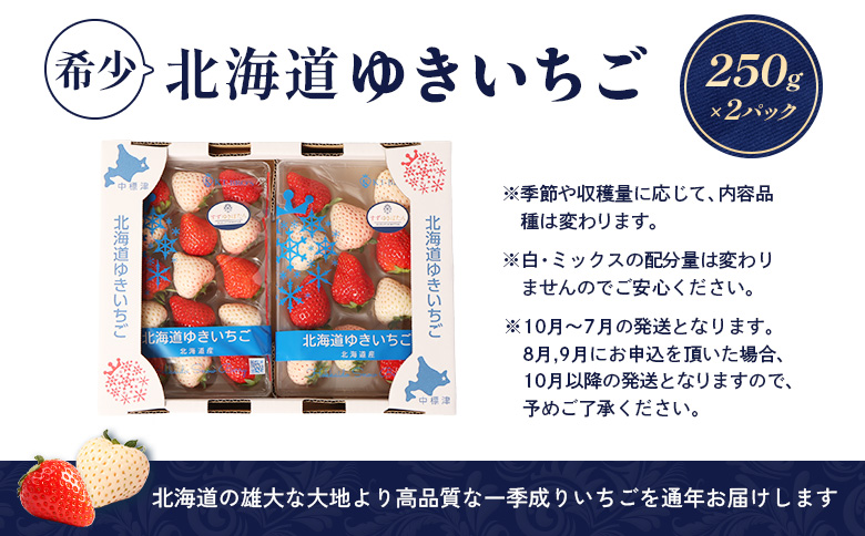【北海道産】ゆきいちご（ゆきぼたん/紅ほっぺ）赤白ＭＩＸ×２Ｐセット 250g×2 計【59003】