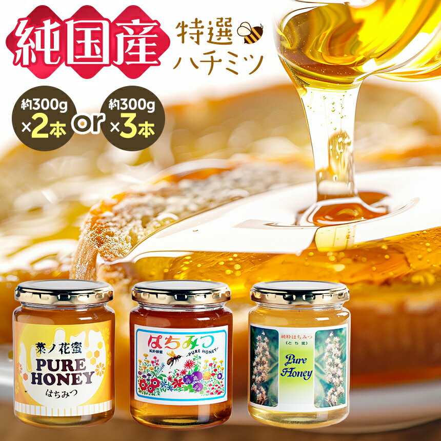【ふるさと納税】芳川養蜂場特選 ハチミツ 2本 3本 | ハチミツ はちみつ 蜂蜜 国産 長野県 信州 木島平村