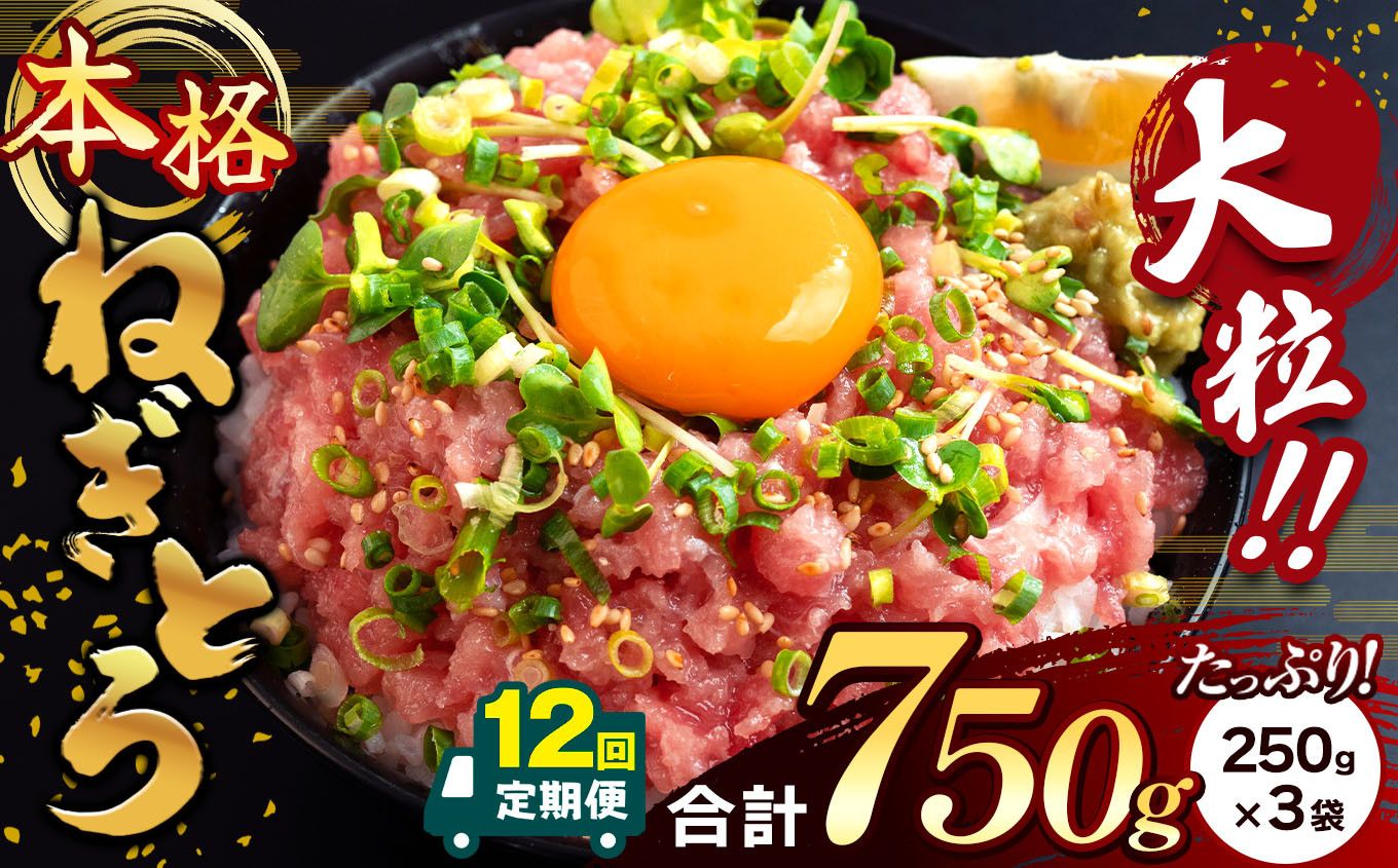 
             【 12回 定期便 】 大人気！ねぎとろ（ 250g × 3袋 ）合計 750g  清幸丸水産 | ネギトロ とろ 鮪 海鮮 魚介 魚 人気 小分け 人気 定番 ご飯 オススメ | 千葉県 君津市 
          