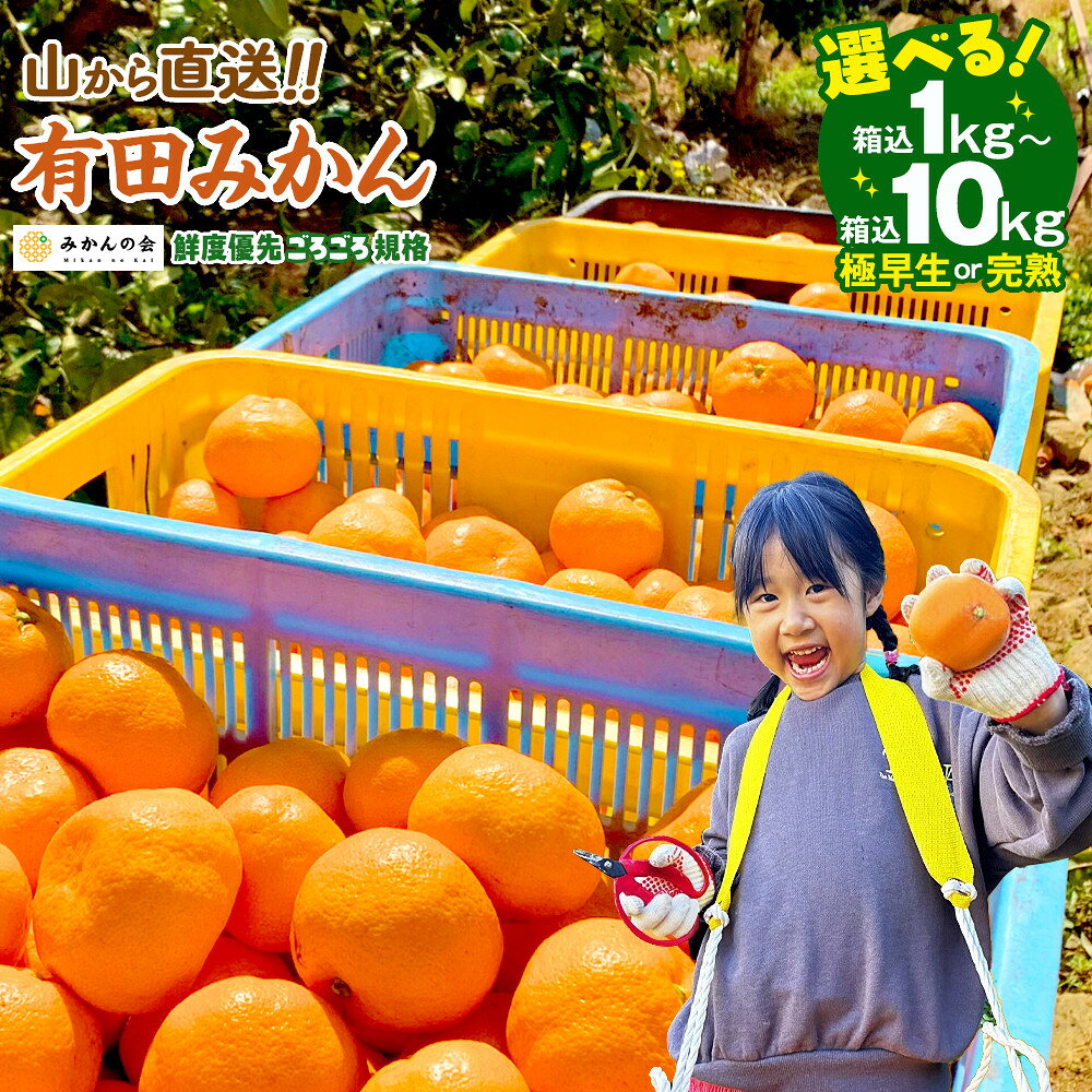 【ふるさと納税】【選べる】極早生みかん or 完熟みかん 訳あり 山から直送 箱込 1kg ～ 10kg ( 約 0.9kg ~ 9.2kg ) | ありだみかん みかん 有田みかん フルーツ 果物 ランキング 人気 甘い 濃厚 送料無料 産地直送 柑橘 訳あり 家庭用 高評価 返礼品 和歌山 有田 有田川