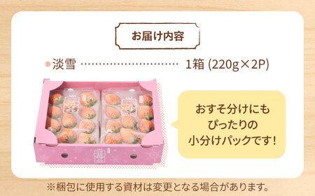 先行予約 2027年1月～発送 白いちご 希少「淡雪」440g /  いちご  [IAP005]