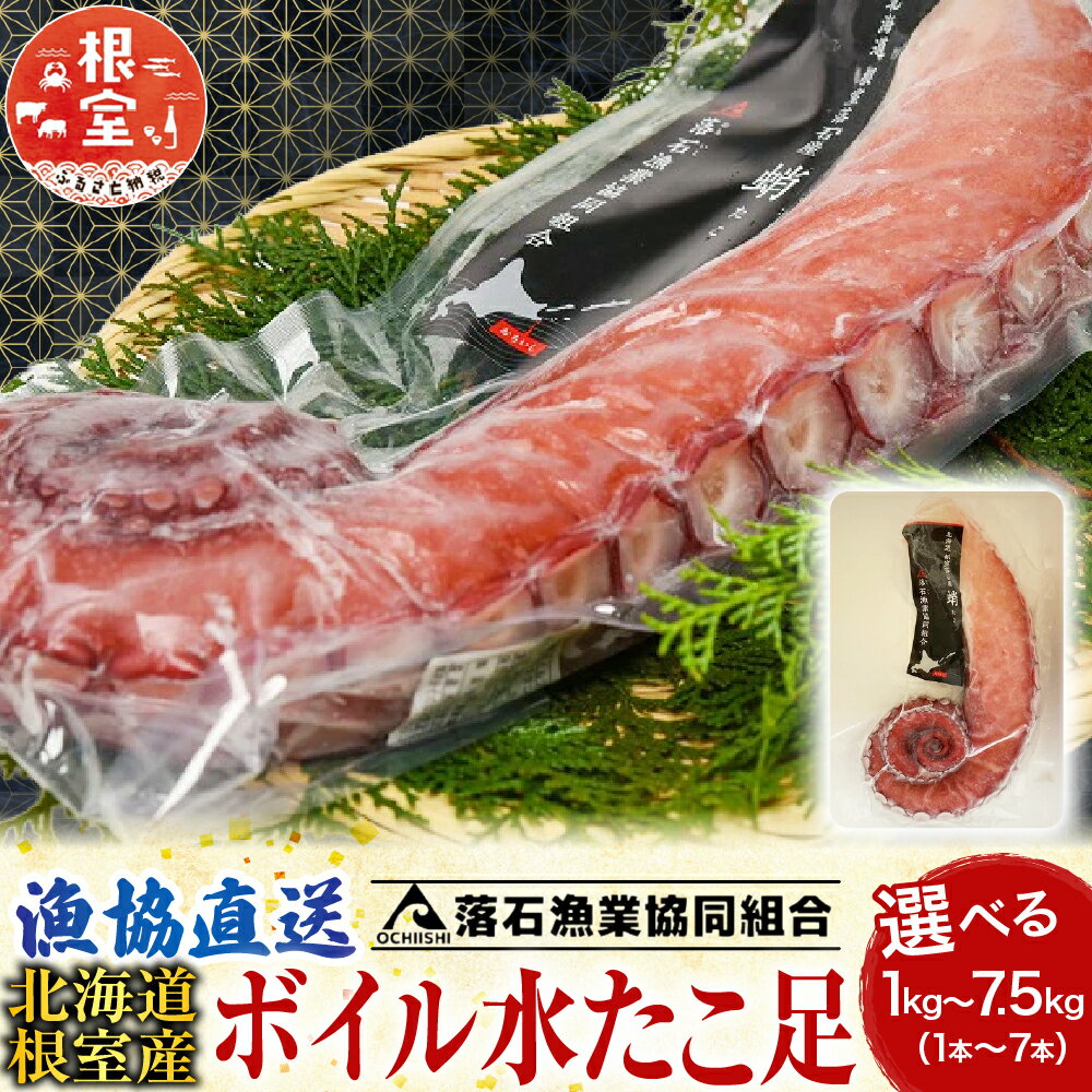 【ふるさと納税】 [北海道根室産] ボイル水たこ足 選べる 1 本 ~ 7 本 たこ タコ 蛸 ミズタコ みずたこ 水蛸 水タコ お取り寄せ グルメ 海鮮 蛸足 たこ足 タコあし 蛸あし たこあし 北海道 根室市 ふるさと納税