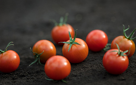 高糖度トマト『あまえっこ』使用の無添加濃厚トマトジュース2本セット【1484072】