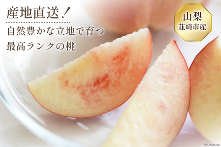 【2026年発送】特選 桃 山梨 セレブ プレミアム 2玉 約600g  [Inakakara 山梨県 韮崎市 20743487]