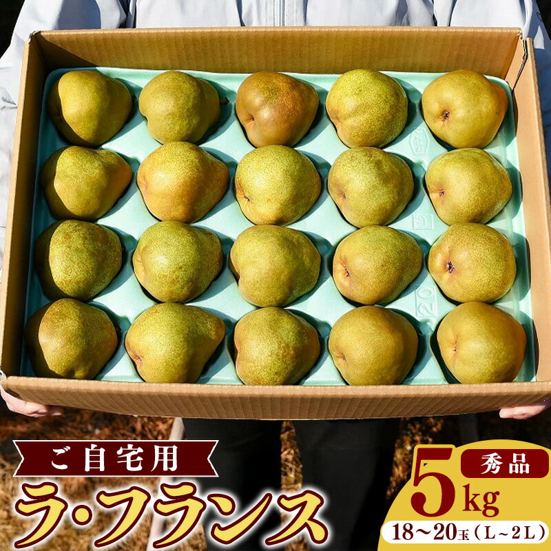 【ふるさと納税】山形県産 ラ・フランス 5kg（18玉〜20玉）《ご自宅用》 L〜2L 山形産 【2025年11月頃〜12月上旬頃発送予定】 ／ 果物 フルーツ 果実 梨 お取り寄せ ご当地 特産 農家直送 旬 秋 製菓 スイーツ デザート おやつ 東北 山形県 2025年産 令和7年産 5キロ