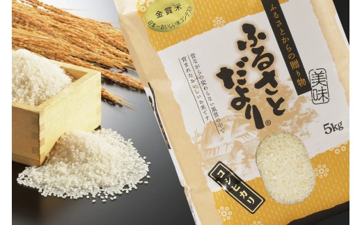 【令和7年産】日本一おいしい米コンテスト 金賞受賞 早川農興コシヒカリ 白米5kg FC015016