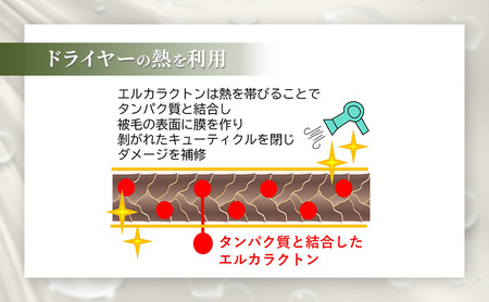 【犬用】リニューアル アーユルニームシャンプー 200ml・詰替用　400ml  セット 雑貨 日用品 