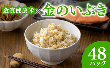 【 ご飯パック 】 金賞 健康米 金のいぶき 120g×48個入り ご飯パック