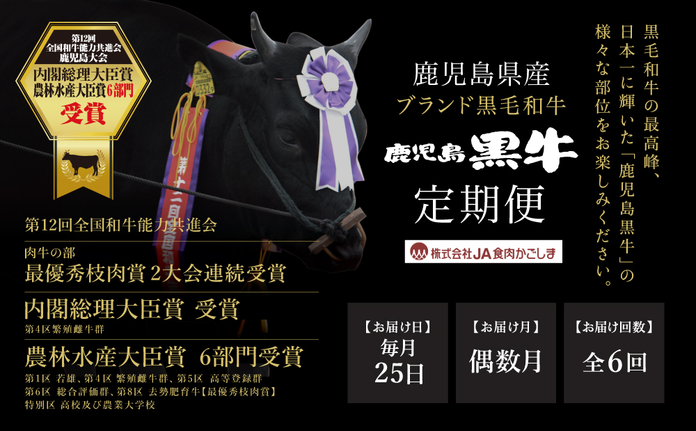 【定期便 6回】鹿児島黒牛 定期便 JA食肉かごしま 黒毛和牛 和牛 牛肉 お肉 霜降り 赤身 ステーキ 焼肉 バーベキュー BBQ すき焼き しゃぶしゃぶ 食べ比べ 冷凍 定期配送 南さつま市