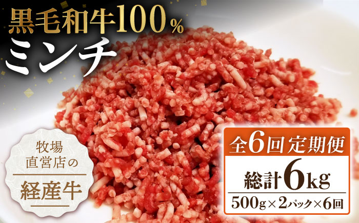 【小分けがうれしい！】【6回定期便】牧場直営店の黒毛和牛100%ミンチ 1000g（500g×2パック）【川崎畜産】牛肉 [IAX021]
