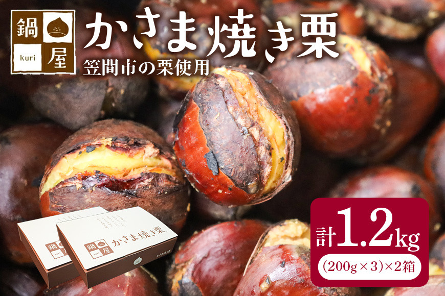焼き栗 栗 1.2kg (2箱) 国産 個包装 くり 和栗 甘栗 冷凍 ギフト プレゼント 父の日 母の日 和栗 スイーツ 和栗 甘栗 栗きんとん モンブラン やきぐり 焼栗 鍋屋本店 先行予約 笠間 茨城県 いばらき