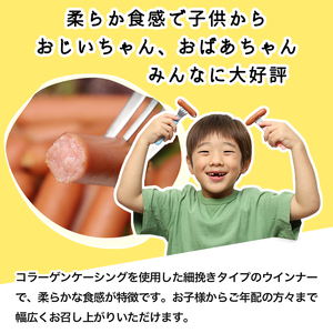【ふるなび限定】訳あり 食品 国産 ソーセージ ウインナー 冷凍 5kg 業務用 メガ 大量 大容量 訳あり 食品 おつまみ 肉 豚肉 ウインナーソーセージ おかず 惣菜 お弁当 ストック 常備品 ホ