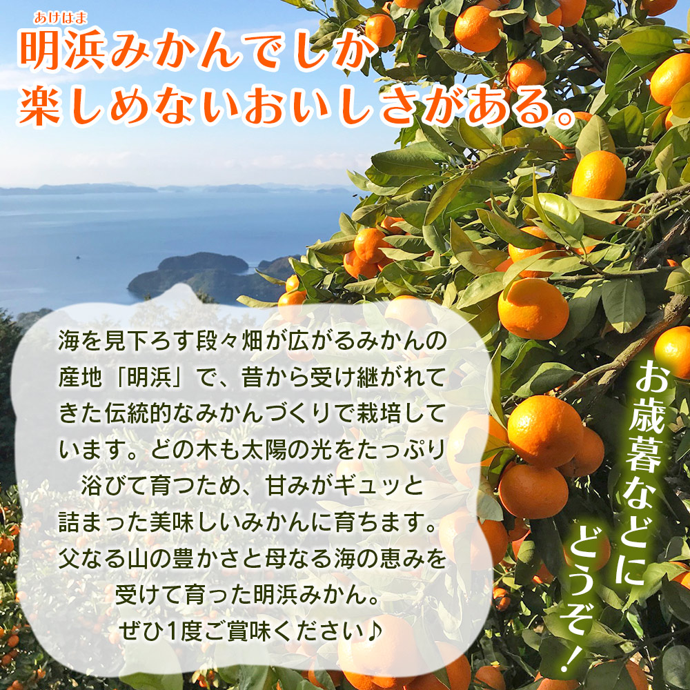 ＜みかん（南柑20号）贈答用 約3kg＞ 果物 くだもの フルーツ ミカン 柑橘 温州みかん うんしゅうみかん 贈答 ギフト プレゼント 特産品 株式会社笑丸 愛媛県 西予市