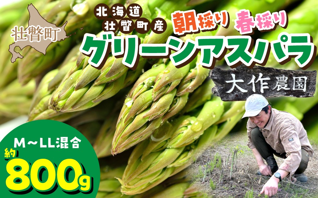 
                  ＜2026年4月上旬よりお届け＞【朝採り】北海道壮瞥町産　春採りグリーンアスパラM～LL混合　約800g【 ふるさと納税 人気 おすすめ ランキング グリーンアスパラ アスパラ あすぱら 野菜 甘い 800g 北海道 壮瞥町 送料無料 】 SBTR005
                