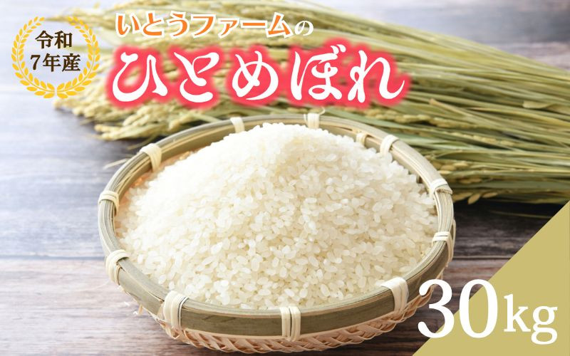 
            いとうファームの令和7年産「ひとめぼれ」30kg（30kg×1袋）選べる！玄米or白米 ※2025年11月より順次発送予定
          