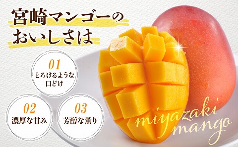 《2026年発送先行予約》【数量・期間限定】宮崎県産 完熟マンゴ－ 2玉 果実 完熟 フルーツ