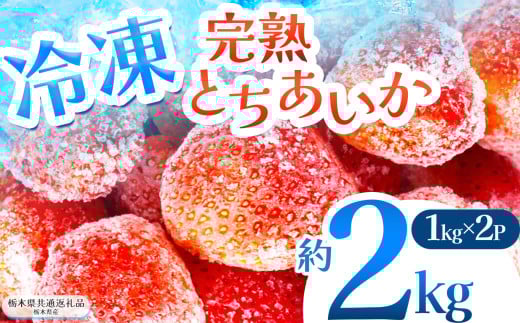 【栃木県共通返礼品】完熟冷凍とちあいか 2kg | いちご とちあいか 冷凍 冷凍イチゴ スイーツ ジャム スムージー たっぷり 大粒 甘い 美味しい 果物 デザート 栃木県 那珂川町 送料無料