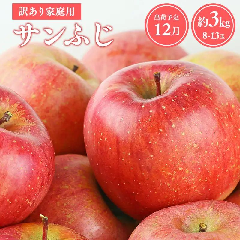 りんご 家庭用 サンふじ約3kg  [hi-0038-001-12]