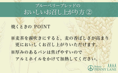 ペニーレインのブルーベリーブレッド2 本＋ つくば店限定 香るアールグレイ1本セット【 パン パン屋 茨城県 つくば市 ブルーベリー 冷凍パン お取り寄せ 人気 おすすめ ベーカリー グルメ プレゼン