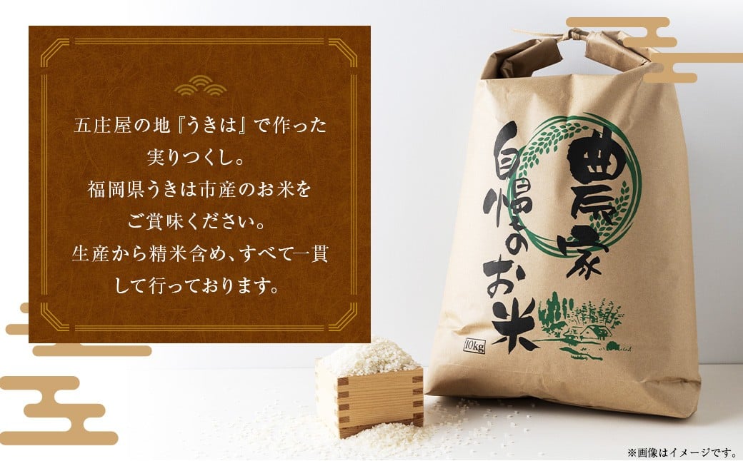 五庄屋の地で作った お米 実りつくし 白米 4.5kg 米 ご飯 国産 九州産 福岡県 うきは市 【2026年1月下旬発送開始】