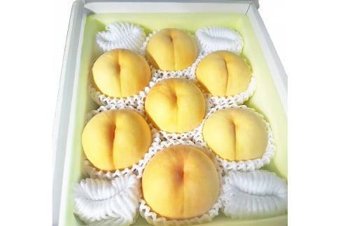 【先行予約】 岡山県産 ・ マンゴーの様な黄色い桃 ・ 黄金桃 2kg箱（約5個～9個） 【2026年8月発送予定】 ／ 桃 もも モモ 黄色 おうごんとう 黄金 おうごん トロピカル風味 トロピカル 果物 くだもの フルーツ デザート 冷蔵