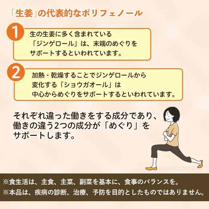No.1296-B ほっこりしょうが(1袋 31粒入り・2袋×6回)  鹿児島 日置市 健康食品 加工食品 サプリ サプリメント 栄養バランス 食生活 安心安全 定期便 頒布会 【てまひま堂】