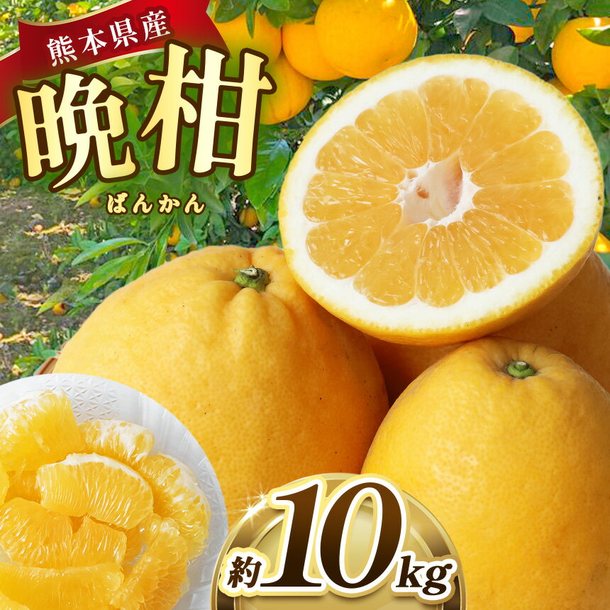 【ふるさと納税】熊本県産 晩柑 約10kg ｜ 果物 くだもの フルーツ 柑橘 柑橘類 みかん ミカン 晩柑 和製グレープフルーツ 熊本県 玉名市