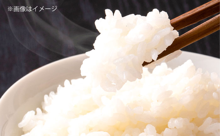 島根が誇るブランド米！仁多米「大峠源流米」20kg（5kg×4）島根県松江市/有限会社藤本米穀店 [ALCG032]