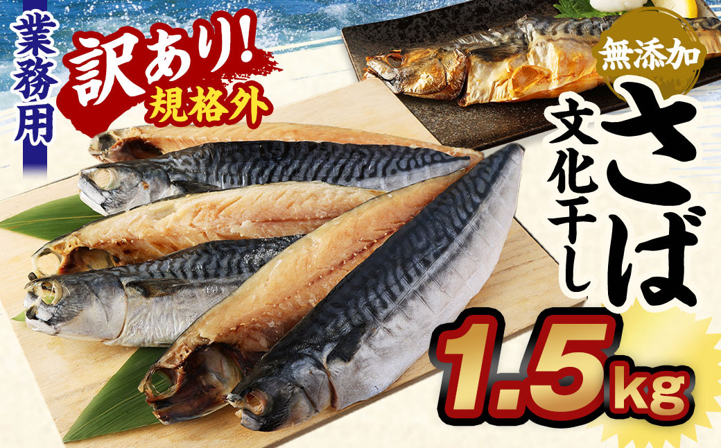 
【訳あり規格外】 業務用 無添加さば文化干し 1.5kg 鯖 さば 干物 魚
